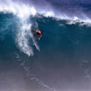 Meet your Posher, Erik